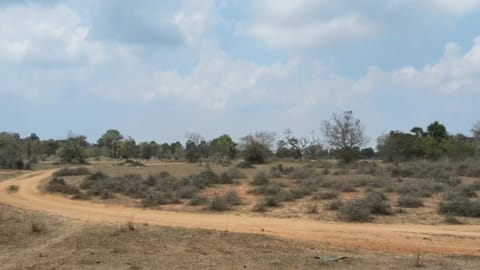 Teen girl, mentally unstable woman raped near Chennai; 3 including history-sheeters held