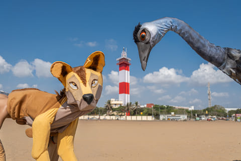 Dingo and emu puppets specially brought down from Australia