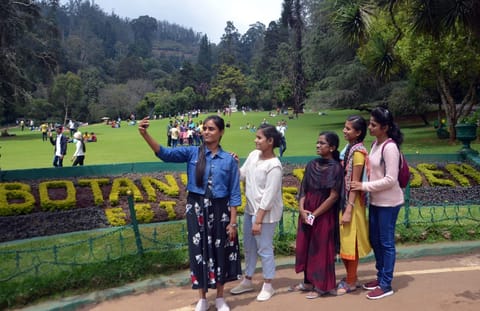 tourists