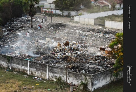 dump yard