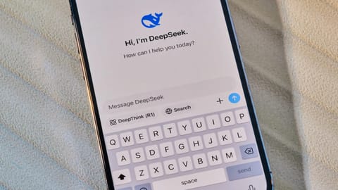 DeepSeek