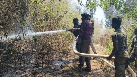 Firefighters battling to contain fast spreading fire in the Nilgiris on Sunday