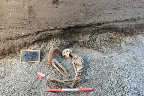 Old science, new tech: AI to reconstruct face of Pompeii’s lava victim