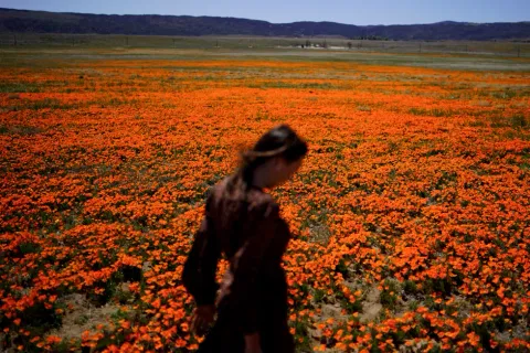 seasonal allergy