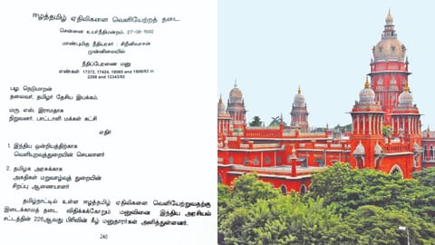 Justice, vernacular: The long road to a Tamil courtroom