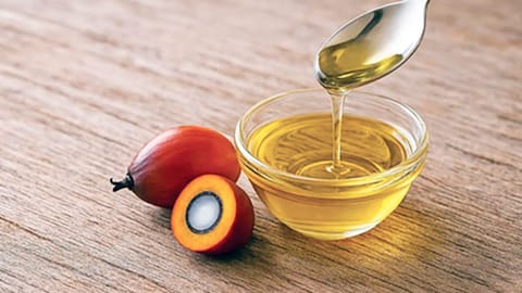 Palm oil plays key role in India’s food security: Experts