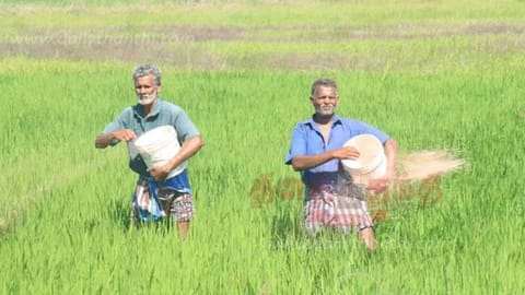Farmers