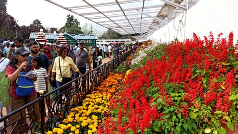 Flowershow-ooty