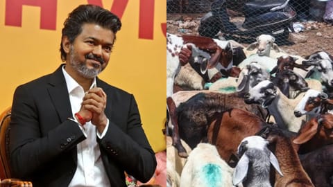 Chief Minister C Joseph Vijay extended greetings for Bakrid