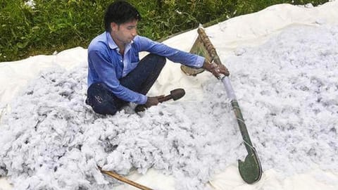 Image used for representational purposes.