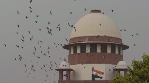 Supreme Court