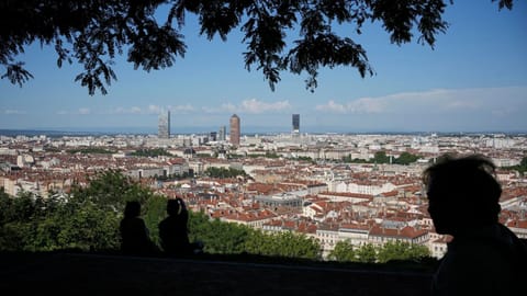 People shelter under the shadow of a tree during a heat wave, in Lyon, central France