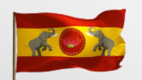 TVK Flag