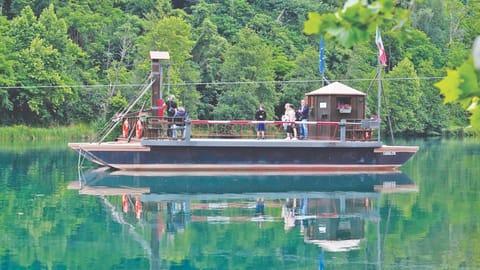 Da Vinci: Five centuries on, Leonardo’s ferry eases Italian commute
