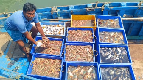 A fisherman in Rameswaram showcases his catch on the first day after fishing operations resumed