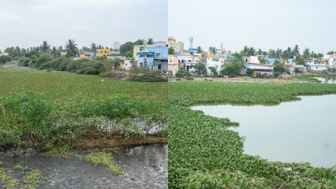 Pallavaram Periya Eri
