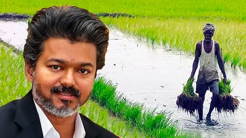 CM Vijay