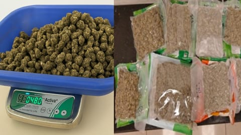 During a search of his baggage, officials found nine packets concealed among packaged food items