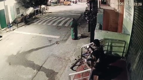 The child, daughter of Mariyappan of Bhajanai Koil Street, had accompanied her grandmother Kuthalam to a nearby shop on Kulakkarai street.