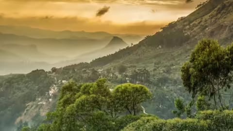 The survey covered elevations ranging from 180 metres to 2,637 metres above mean sea level