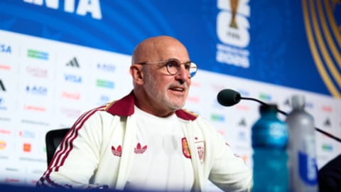 Spain coach Luis de la Fuente