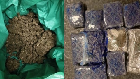 Customs seize 6 kg hydroponic ganja, 414 gm of gold from two individuals