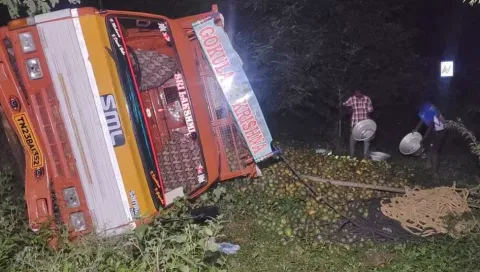 The capsized lorry with mangoes lying scattered after the mishap on Thursday