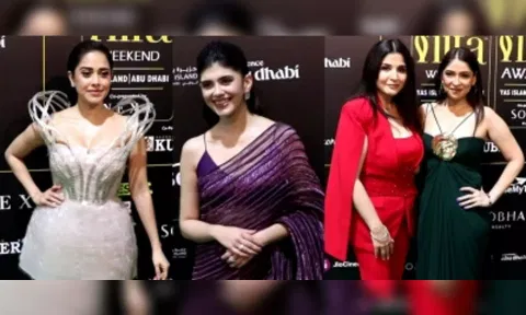 Celebrities at 23rd edition of the International Indian Film Academy and Awards