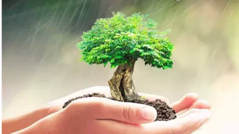 World Environment Day (ANI)