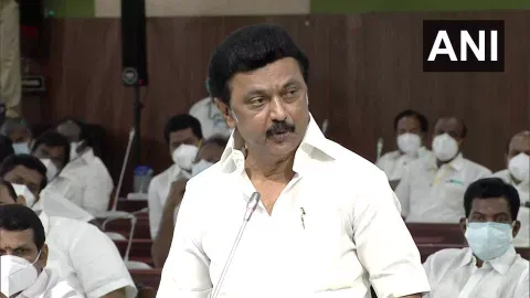 MK Stalin (ANI)