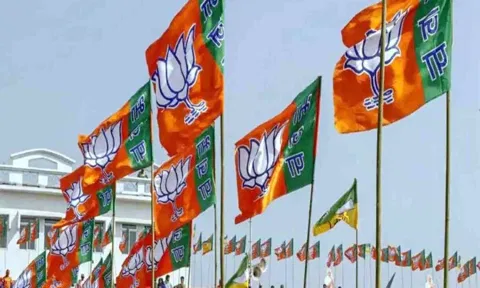 Representative Image ANI