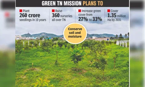 Will green efforts help Vellore to escape summer heat?