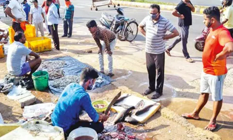 Fishermen along Chennai coast oppose shoreline renourishment project