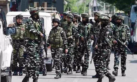 Representative Image (ANI)