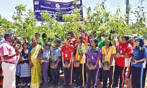Tiruchy civic officials and school students during planting of saplings