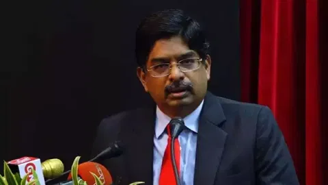 DMK MP P Wilson