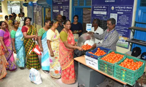 In all, 82 shops are selling tomatoes, including 32 in North Chennai and 25 in South and Central Chennai, each selling 50 kg to 100 kg a day.