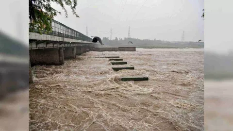 Representative Image (Photo: ANI)