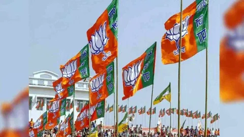 Representative Image (Photo: ANI)