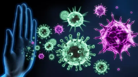 Researchers find how body tolerates food without immune system attack