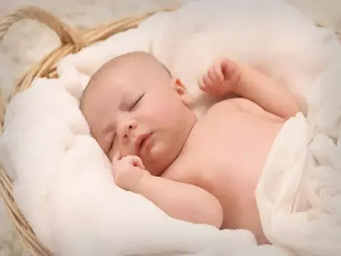 Study reveals link between human breast milk micronutrient and brain development