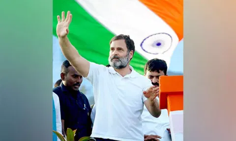 Rahul Gandhi (ANI)