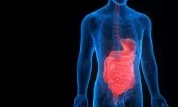 'Urbanisation driving inflammatory bowel disease in young Indians'