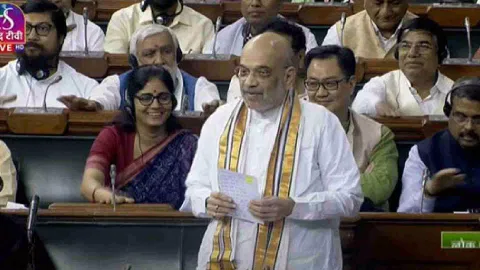 Union Minister Amit Shah (Photo/Sansad TV)