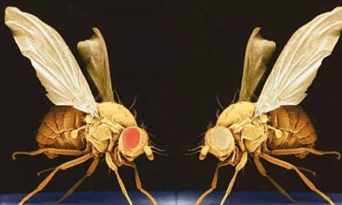 Representative image (File)