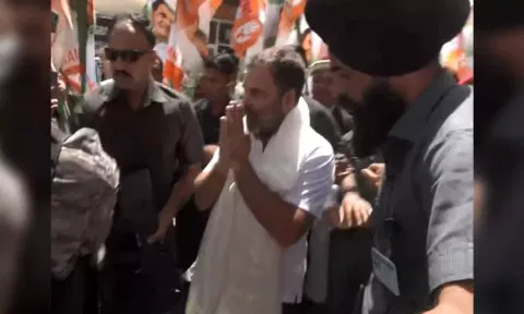 Congress leader Rahul Gandhi (ANI)