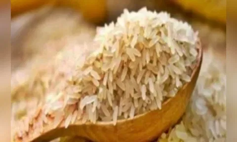 Additional safeguards on basmati rice introduced to prevent regular rice exports