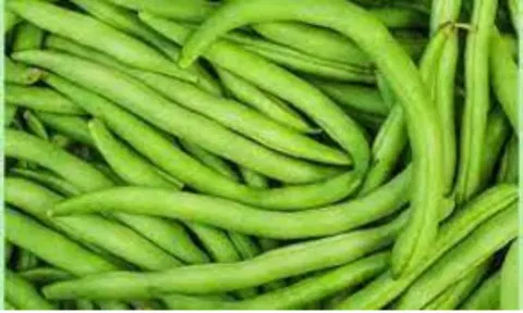 Representative Image (Image: Daily Thandhi)