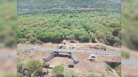 Southern Railway’s first elephant underpass in Coimbatore