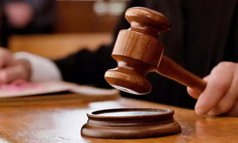 Representative Image (ANI)